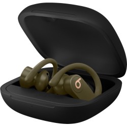 Beats Powerbeats Pro Wireless High-Performance Earbuds
